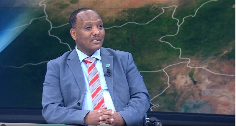 Egypt’s Intervention in Somalia Threatening Regional Stability, Says EPDI President