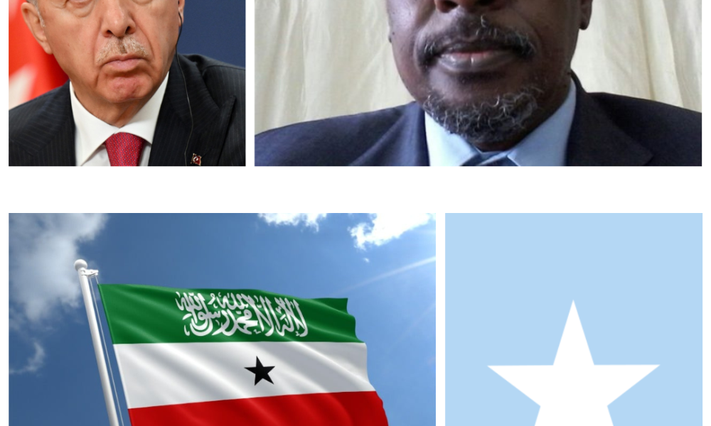 waryatv.com turkey somaliland