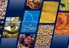 FAO’s August Increase Reveals Multiple Pressures on Food Supply